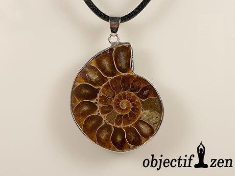 collier ammonite fossile objectif zen